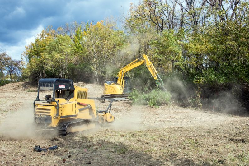 Slope Clearing in Gwinnett County, GA