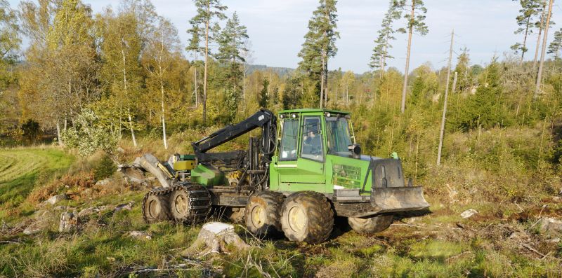 Forestry Service Providers